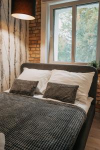 1 cama con 2 almohadas en una habitación con ventana en Niron Apartament Kapucyńska en Piła