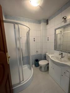 y baño con ducha, aseo y lavamanos. en Noclegi Solina Sunrise, en Solina