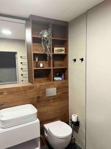 een badkamer met een wit toilet en een douche bij Luxury Pearl with Parking place in Holešovice in Praag