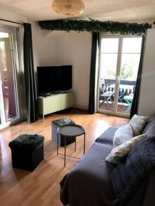 salon z kanapą i telewizorem z płaskim ekranem w obiekcie Charmant studio idéalement situé w mieście Gryon