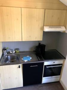 een kleine keuken met een wastafel en een fornuis bij Charmant studio idéalement situé in Gryon