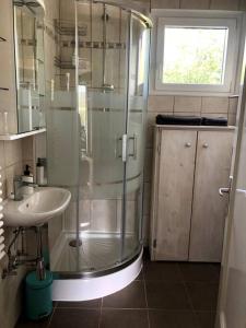 a bathroom with a shower and a sink at Charmant studio idéalement situé in Gryon