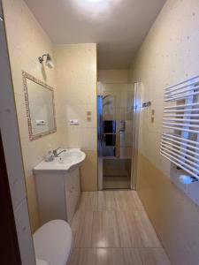 a bathroom with a toilet and a sink and a shower at Noclegi Solina Sunrise in Solina