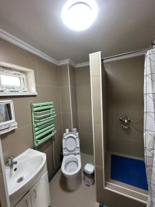 a bathroom with a toilet and a sink and a shower at Joy in Atyrau
