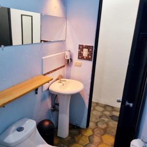 Casa Pura Vida Surf Hostel - Tamarindo Costa Rica في تاماريندو: حمام صغير مع حوض ومرحاض