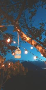 een vogelkooi hangend aan een boom met lichten bij Countryhouse Maratea coast Pollino Park in Nemoli
