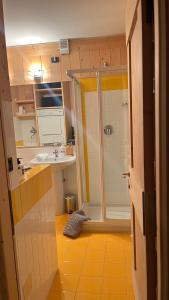 a bathroom with a shower and a sink at MONOLOCALE LA BORMINA in Bormio