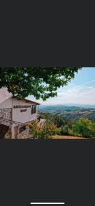 un edificio en la cima de una colina con un árbol en Александрова вила 1, en Zlatograd