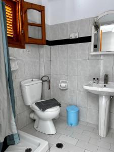a bathroom with a toilet and a sink at Villa Spyros in Sivota