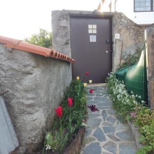 una puerta a una casa con flores delante en Casinha da Sobreira en Penacova