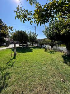 Gallery image of Villa Spyros in Sivota