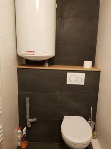 een kleine badkamer met een toilet en een watertank bij L'atelier, appart avec jardin à 100 m de la mer. in Donville-les-Bains