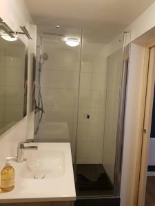 een badkamer met een wastafel en een douche met een spiegel bij L'atelier, appart avec jardin à 100 m de la mer. in Donville-les-Bains