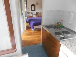 kuchnia ze zlewem i kuchenką w pokoju w obiekcie Guesthouse Kuća na šterne w mieście Lovran