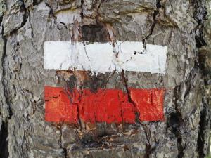 Fotografie z fotogalerie ubytování Gîte des Genêts en terrasses v destinaci Bièvre