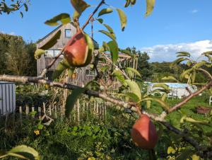 Zahrada ubytování Gîte des Genêts en terrasses