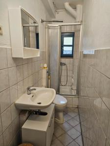 een badkamer met een wastafel, een toilet en een douche bij Ganze Wohnung Neben Hauptbahnhof in Neurenberg