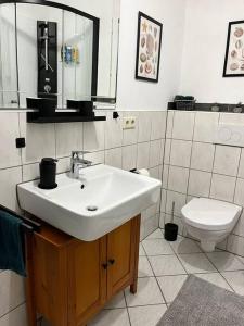 a bathroom with a sink and a toilet at Rheinauszeit in Rheinbrohl