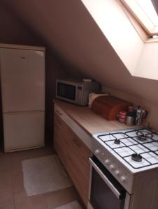 a small kitchen with a stove and a microwave at Panoráma Apartmanház in Abaújszántó