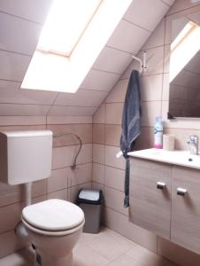 a bathroom with a toilet and a sink and a skylight at Panoráma Apartmanház in Abaújszántó