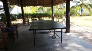 Stolní tenis v ubytování Paradis Villa B3 nebo okolí