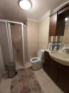 y baño con ducha, aseo y lavamanos. en Comfy home in Nisantasi, en Estambul