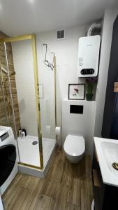 La salle de bains est pourvue d'une douche, de toilettes et d'un lavabo. dans l'établissement Gajowa Apartament, à Chorzów