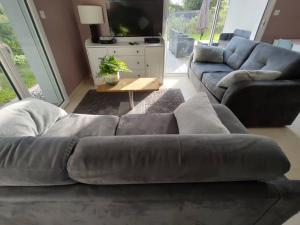 uma sala de estar com um sofá e uma televisão em Gite des 2 chênes entre Avenue verte, Lacs, Piscine et Casino em Forges-les-Eaux