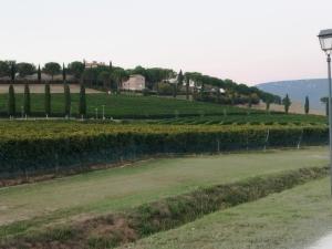 SolomeoにあるIl vecchio seccatoioの木の畑と丘の上の家