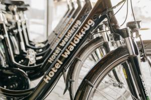 Rattasõit majutusasutuse Hotel Waldkrug aladel või selle läheduses