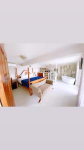 Setusvæði á Franklyn D Resort & Spa All Inclusive