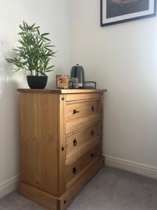 a wooden dresser with a potted plant on top of it at Driftwood Lodge in Llansantffraid Glan Conwy