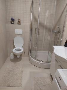 ein Bad mit einer Dusche, einem WC und einem Waschbecken in der Unterkunft Apartman ENEM in Mostar