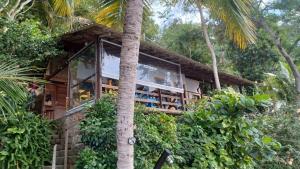 ein Haus im Dschungel mit einer Palme in der Unterkunft Saracura in Praia de Araçatiba