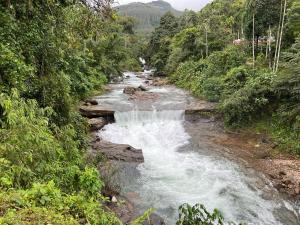 Un río con rápidos en medio de un bosque en 900 Woods Wayanad Eco Resort - 300 Acre Forest Property Near Glass Bridge en Meppādi