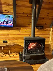 a fireplace in a living room with a tv at Kalivi suit bungalov 1 in Ardeşen