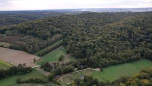 an aerial view of a field and trees at Biała chatka w lesie na Roztoczu in Szczebrzeszyn