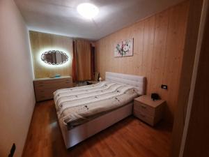 a bedroom with a large bed and a mirror at Appartamento la Regina del Lago in Molveno
