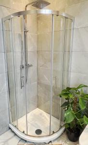 a shower with a glass enclosure in a bathroom at Perfectly located City Centre apartments in Exeter