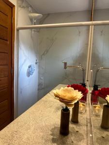 巴拉大的住宿－Condominio Viva Barra，浴室设有1个带水槽和淋浴的台面