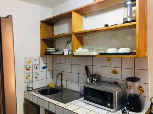 雅溫德的住宿－CASA BLANCA APPART，厨房配有水槽和微波炉