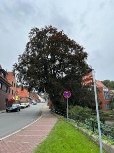 Okolí apartmánu