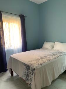 Bett in einem Zimmer mit Fenster in der Unterkunft TOWNHOUSE GET-a-WAY in Mandeville