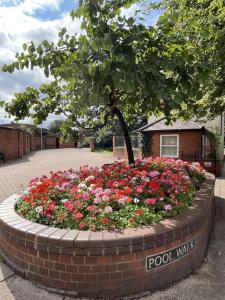 um jardim de flores com uma árvore numa parede de tijolos em Luxury Spring Stays Lichfield City Centre 2 Bedroom Apartment With Free Secure Parking em Lichfield