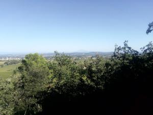 - une vue depuis le sommet d'une colline plantée d'arbres dans l'établissement L'appart du Mas, à Lamotte-du-Rhône