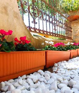 Zahrada ubytování Le Sorgenti Guest House