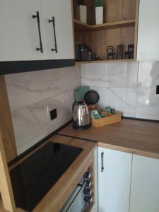 Kuchyň nebo kuchyňský kout v ubytování Apartman Element