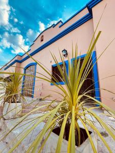 ein Gebäude mit Palmen davor in der Unterkunft Villa Tequila - Casa Jalisco in Alta Gracia