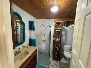 a bathroom with a sink and a toilet and a shower at chalet chenal in Hauru