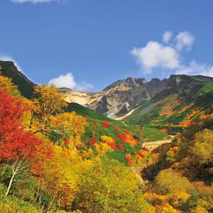 un valle con árboles coloridos y montañas en el fondo en メゾンドヴィラ, en Kami-furano